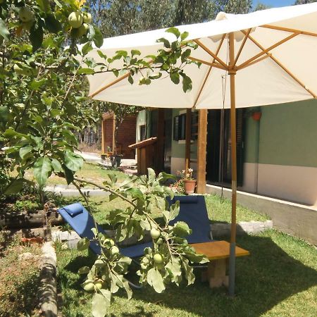 فيلا Ecobosque Nadadouro المظهر الخارجي الصورة