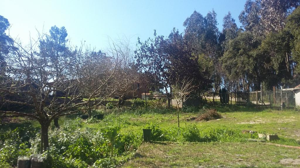 فيلا Ecobosque Nadadouro المظهر الخارجي الصورة