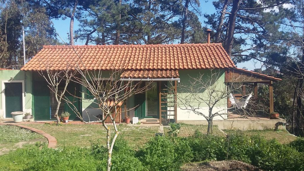 فيلا Ecobosque Nadadouro المظهر الخارجي الصورة