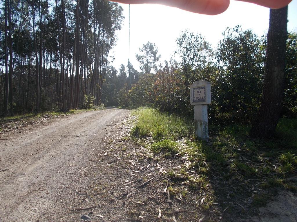 فيلا Ecobosque Nadadouro المظهر الخارجي الصورة