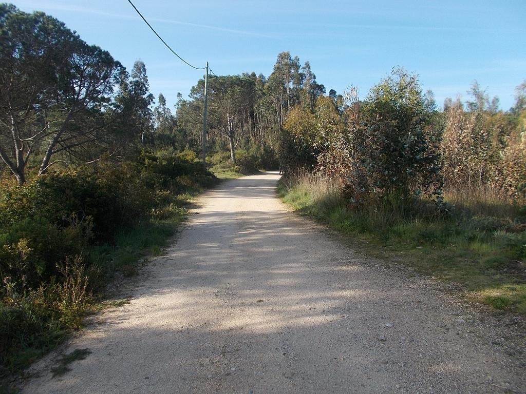 فيلا Ecobosque Nadadouro المظهر الخارجي الصورة