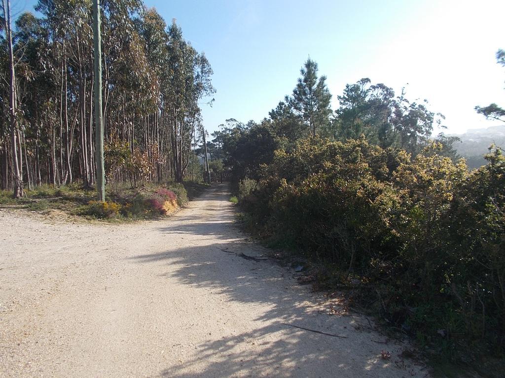 فيلا Ecobosque Nadadouro المظهر الخارجي الصورة