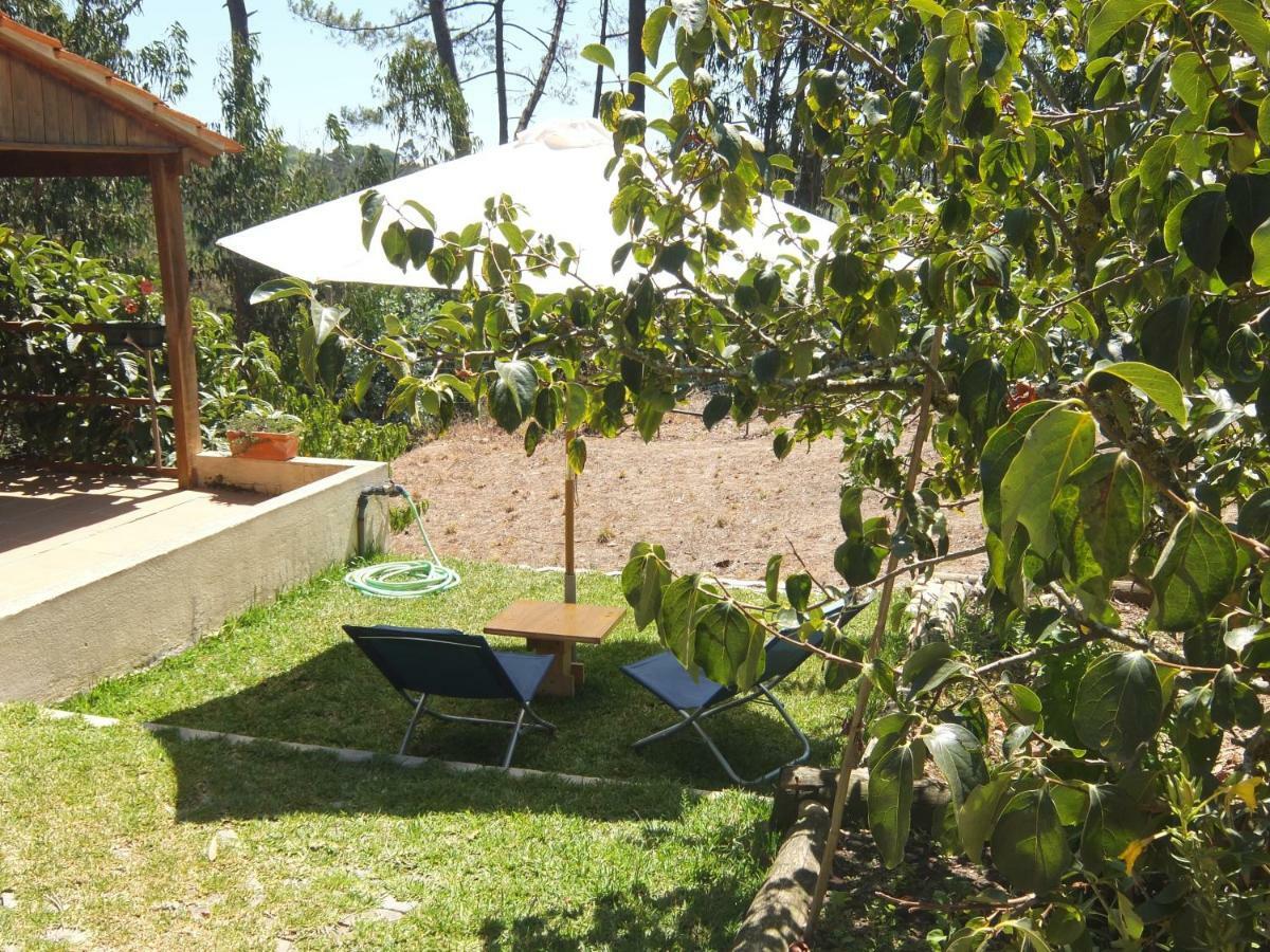 فيلا Ecobosque Nadadouro المظهر الخارجي الصورة